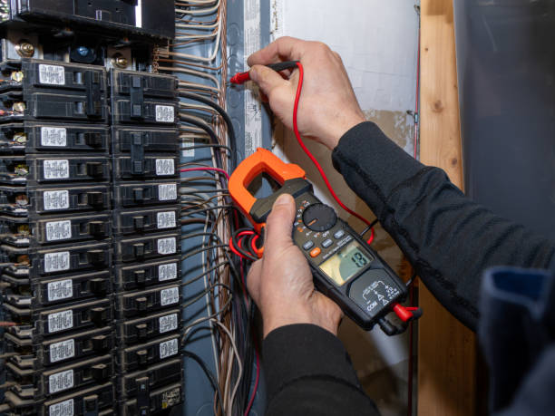 Best Ceiling Fan Installation Electrician  in Inglis, FL